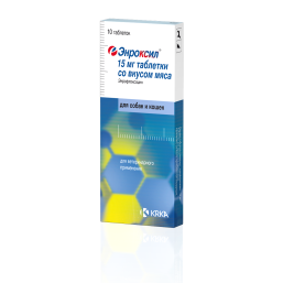 ЭНРОКСИЛ со вкусом мяса, 15 мг № 10